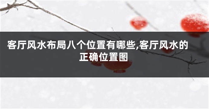 客厅风水布局八个位置有哪些,客厅风水的正确位置图