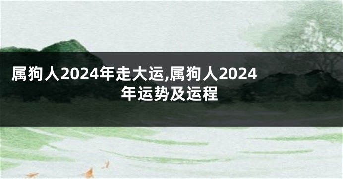 属狗人2024年走大运,属狗人2024年运势及运程