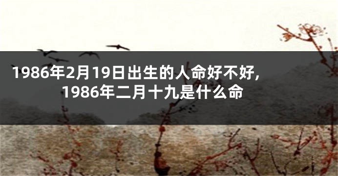 1986年2月19日出生的人命好不好,1986年二月十九是什么命