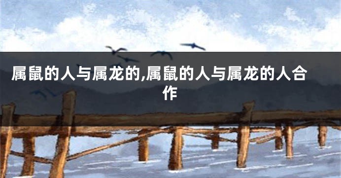 属鼠的人与属龙的,属鼠的人与属龙的人合作