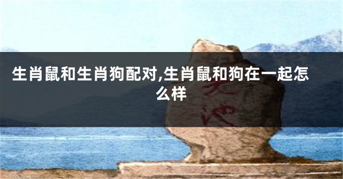 生肖鼠和生肖狗配对,生肖鼠和狗在一起怎么样