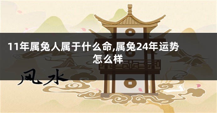11年属兔人属于什么命,属兔24年运势怎么样