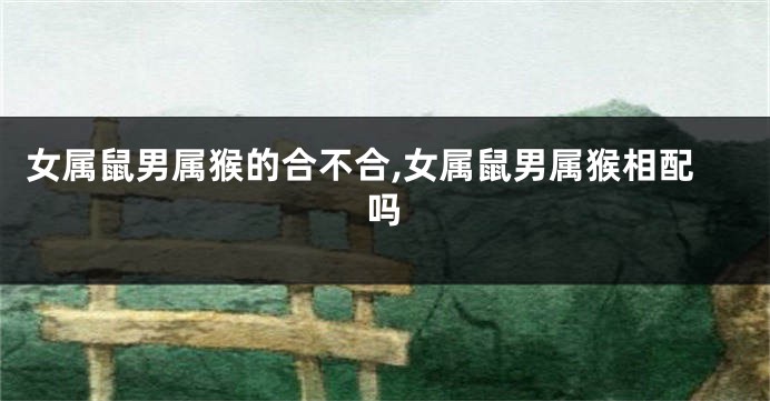 女属鼠男属猴的合不合,女属鼠男属猴相配吗