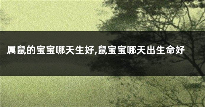 属鼠的宝宝哪天生好,鼠宝宝哪天出生命好