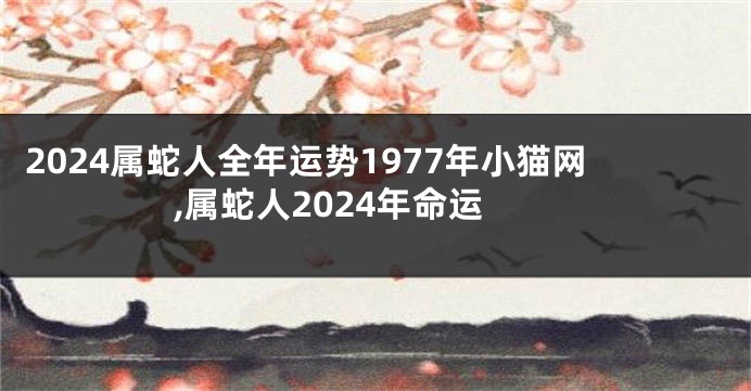 2024属蛇人全年运势1977年小猫网,属蛇人2024年命运