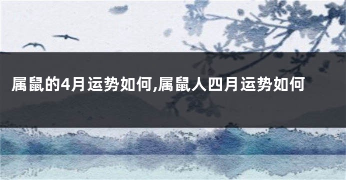 属鼠的4月运势如何,属鼠人四月运势如何