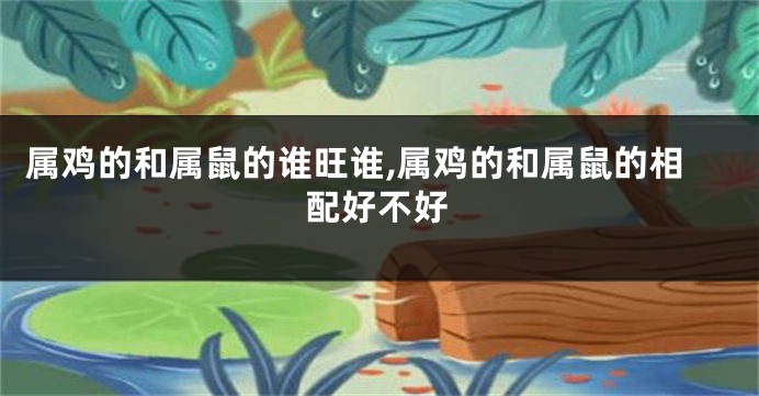 属鸡的和属鼠的谁旺谁,属鸡的和属鼠的相配好不好