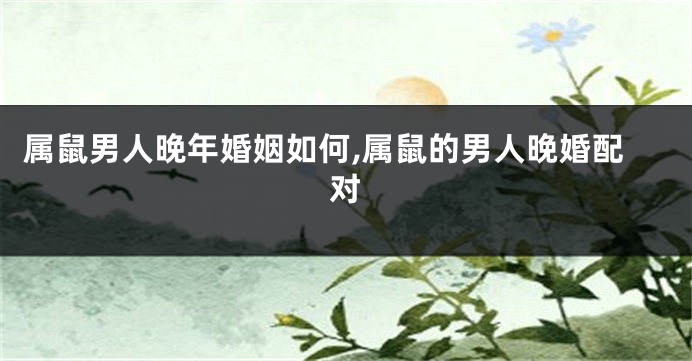 属鼠男人晚年婚姻如何,属鼠的男人晚婚配对