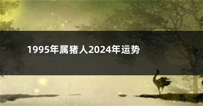 1995年属猪人2024年运势