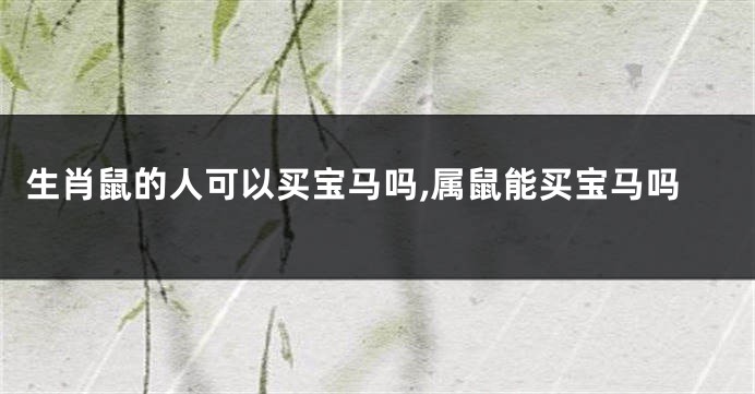 生肖鼠的人可以买宝马吗,属鼠能买宝马吗
