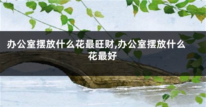 办公室摆放什么花最旺财,办公室摆放什么花最好