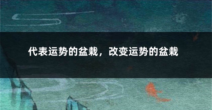 代表运势的盆栽，改变运势的盆栽