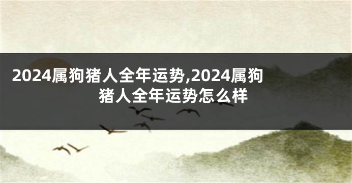 2024属狗猪人全年运势,2024属狗猪人全年运势怎么样
