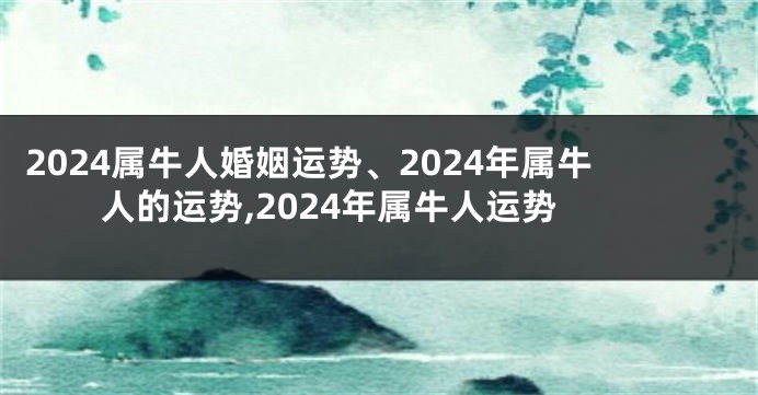 2024属牛人婚姻运势、2024年属牛人的运势,2024年属牛人运势