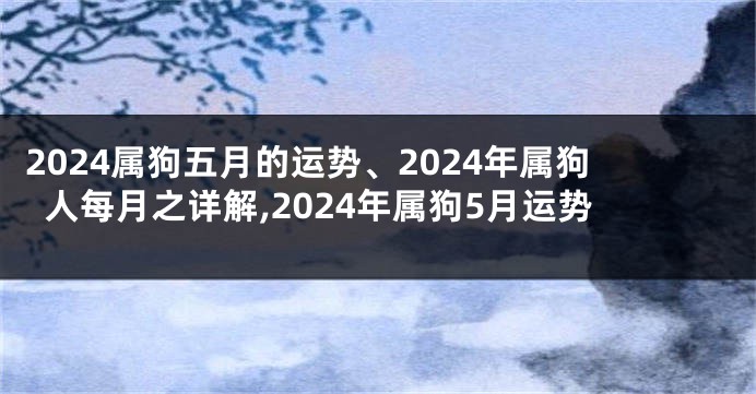 2024属狗五月的运势、2024年属狗人每月之详解,2024年属狗5月运势