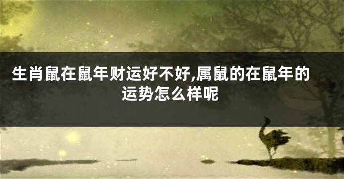 生肖鼠在鼠年财运好不好,属鼠的在鼠年的运势怎么样呢