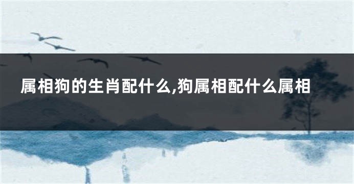 属相狗的生肖配什么,狗属相配什么属相
