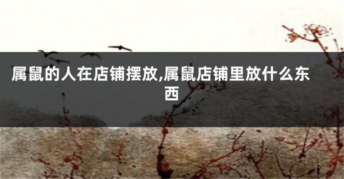 属鼠的人在店铺摆放,属鼠店铺里放什么东西