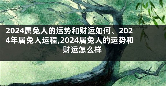 2024属兔人的运势和财运如何、2024年属兔人运程,2024属兔人的运势和财运怎么样