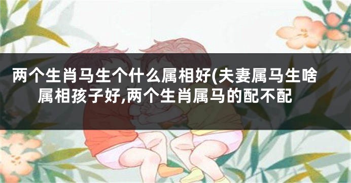 两个生肖马生个什么属相好(夫妻属马生啥属相孩子好,两个生肖属马的配不配
