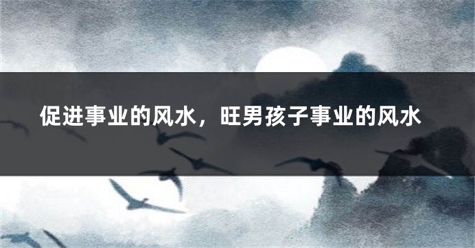 促进事业的风水，旺男孩子事业的风水