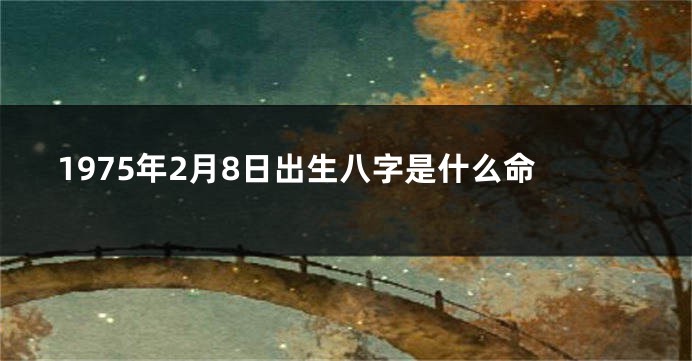 1975年2月8日出生八字是什么命