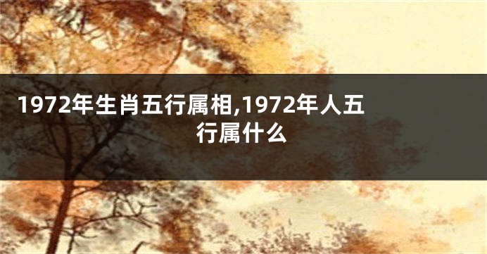 1972年生肖五行属相,1972年人五行属什么