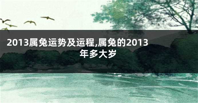 2013属兔运势及运程,属兔的2013年多大岁