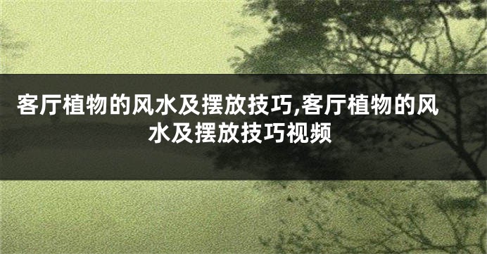 客厅植物的风水及摆放技巧,客厅植物的风水及摆放技巧视频