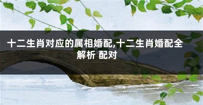 十二生肖对应的属相婚配,十二生肖婚配全解析 配对
