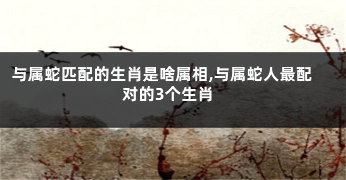 与属蛇匹配的生肖是啥属相,与属蛇人最配对的3个生肖