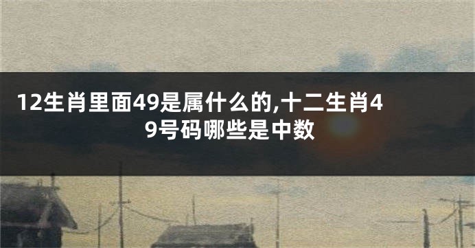 12生肖里面49是属什么的,十二生肖49号码哪些是中数