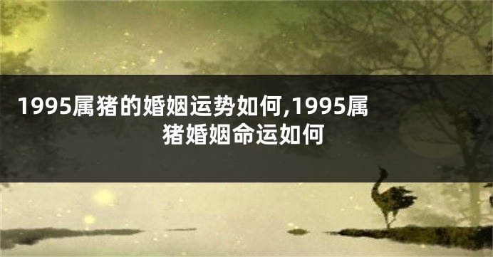1995属猪的婚姻运势如何,1995属猪婚姻命运如何