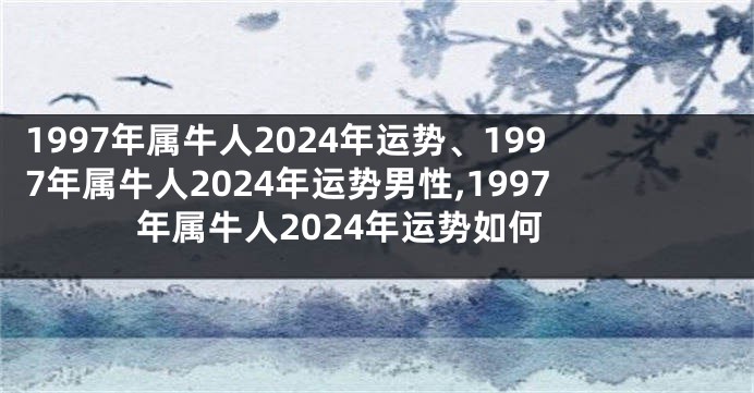 1997年属牛人2024年运势、1997年属牛人2024年运势男性,1997年属牛人2024年运势如何