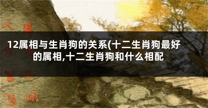 12属相与生肖狗的关系(十二生肖狗最好的属相,十二生肖狗和什么相配