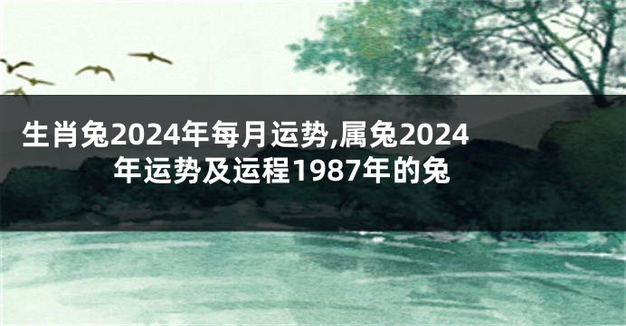 生肖兔2024年每月运势,属兔2024年运势及运程1987年的兔