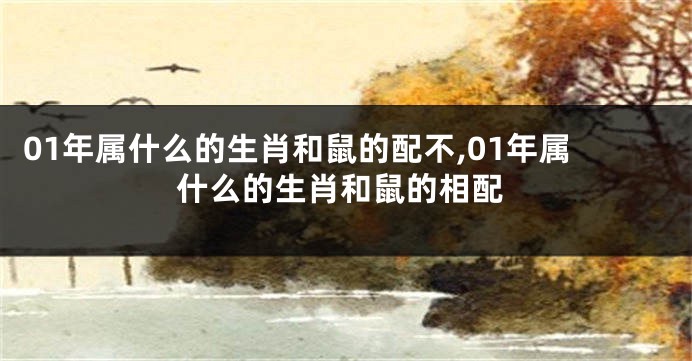 01年属什么的生肖和鼠的配不,01年属什么的生肖和鼠的相配