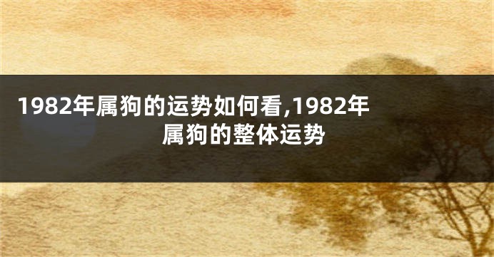 1982年属狗的运势如何看,1982年属狗的整体运势