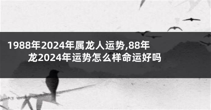 1988年2024年属龙人运势,88年龙2024年运势怎么样命运好吗