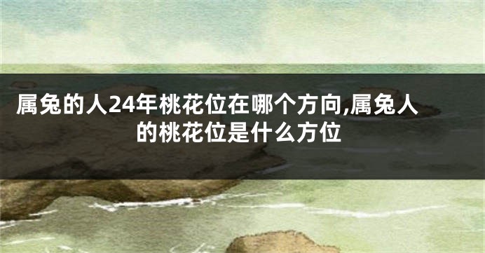 属兔的人24年桃花位在哪个方向,属兔人的桃花位是什么方位