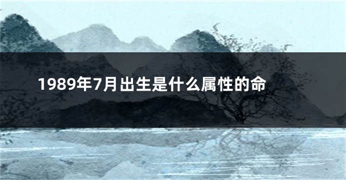 1989年7月出生是什么属性的命
