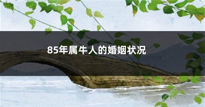 85年属牛人的婚姻状况