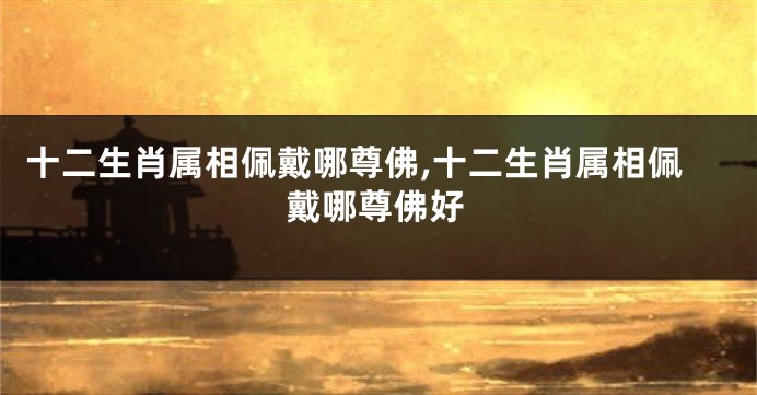 十二生肖属相佩戴哪尊佛,十二生肖属相佩戴哪尊佛好