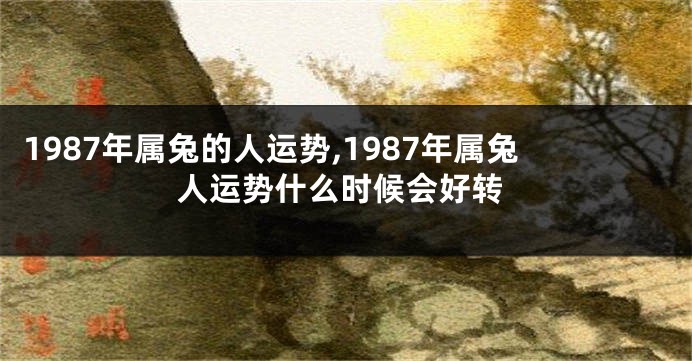 1987年属兔的人运势,1987年属兔人运势什么时候会好转