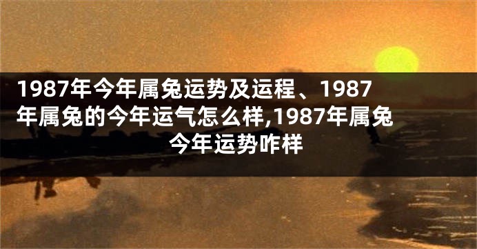 1987年今年属兔运势及运程、1987年属兔的今年运气怎么样,1987年属兔今年运势咋样