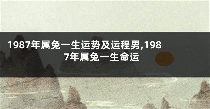 1987年属兔一生运势及运程男,1987年属兔一生命运