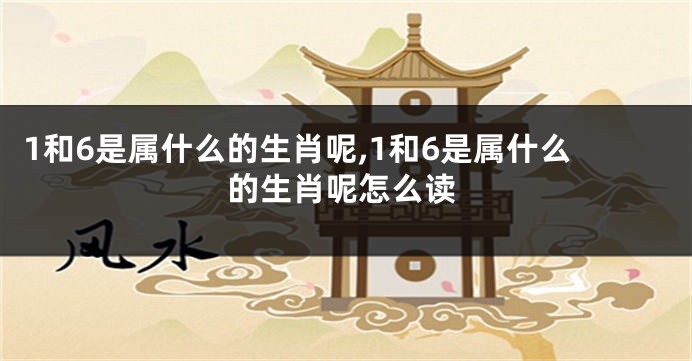 1和6是属什么的生肖呢,1和6是属什么的生肖呢怎么读