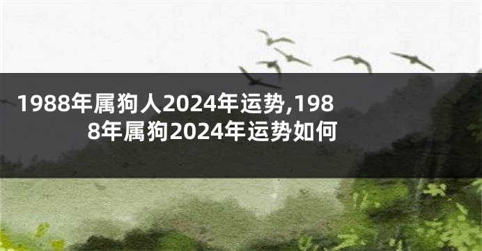 1988年属狗人2024年运势,1988年属狗2024年运势如何