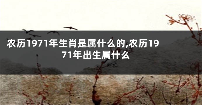 农历1971年生肖是属什么的,农历1971年出生属什么