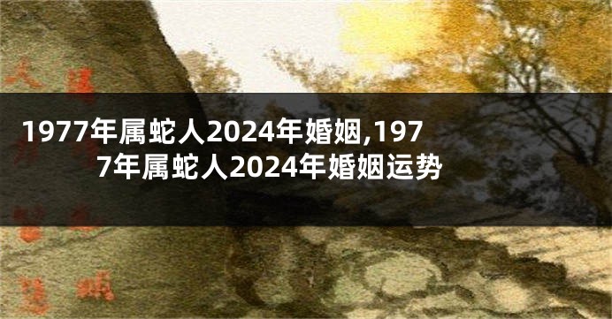 1977年属蛇人2024年婚姻,1977年属蛇人2024年婚姻运势